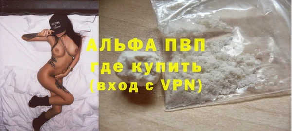 дмт Бородино