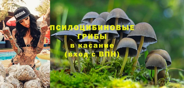 винт Богородицк