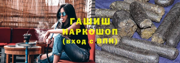 дмт Бородино