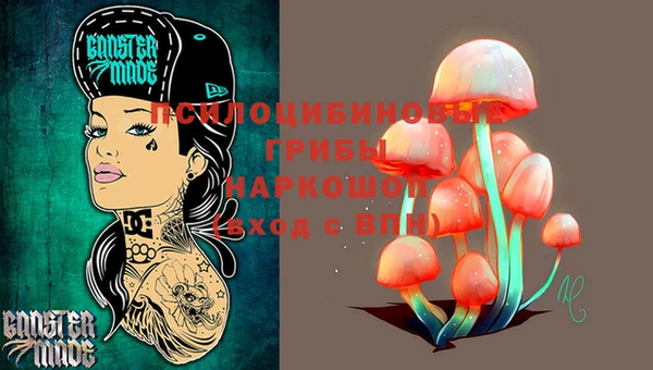 дмт Бородино