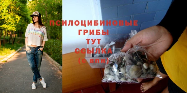COCAINE Богданович