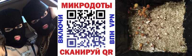 Псилоцибиновые грибы ЛСД  купить наркотик  Дальнегорск 
