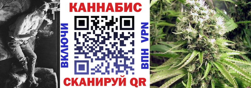 Каннабис план  MEGA ONION  Дальнегорск 